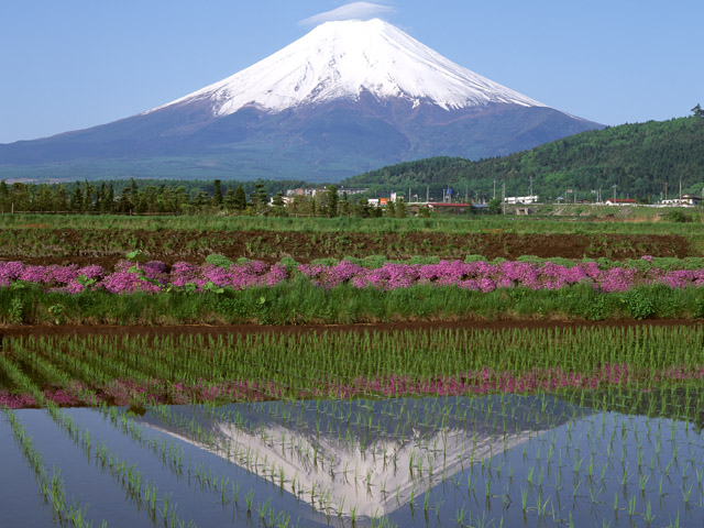 富士山 富士山