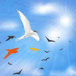 大空に羽ばたく鳥たち